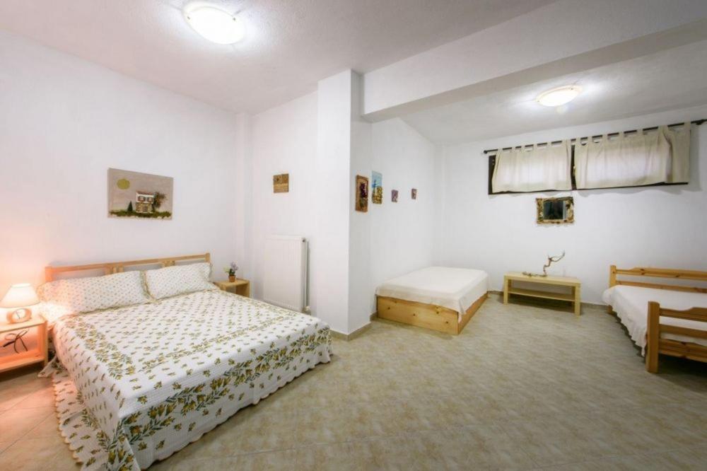 Katevi Luxury Seafront Villa Ierissos Extérieur photo